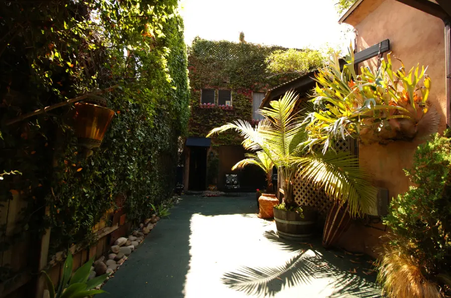 Luxury landscape design of the tropical summer garden.