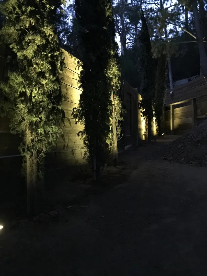 Outdoor nighttime scene with vertical pillars illuminated by ground lights.