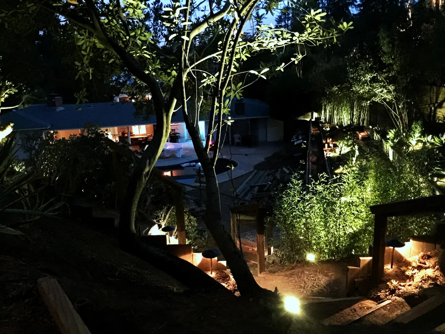 A softly lit garden path at night with trees and shrubs.
