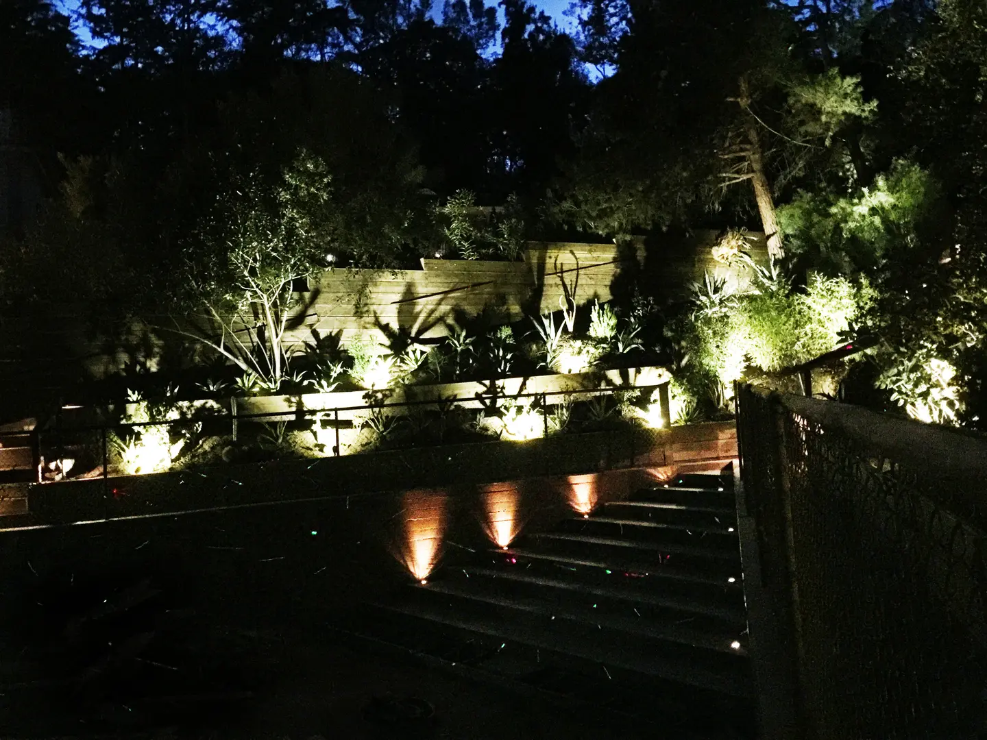 Outdoor staircase lit with warm garden lights at night.