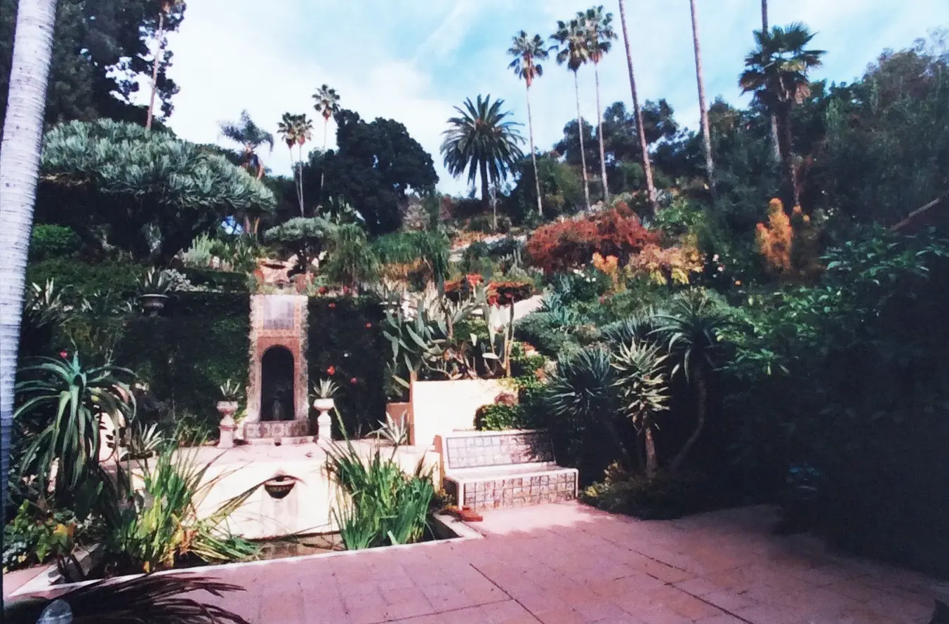 A lush garden with tall palm trees and stone structures.
