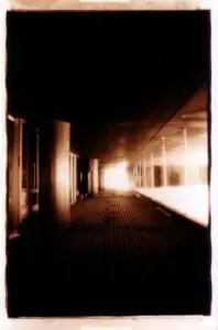 Photo by Joe Nicoletti. All rights reserved