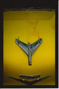 Photo by Joe Nicoletti. All rights reserved