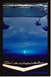 Photo by Joe Nicoletti. All rights reserved