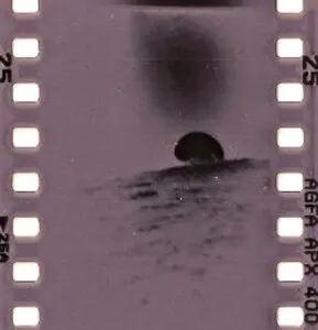 Photo by Joe Nicoletti. All rights reserved