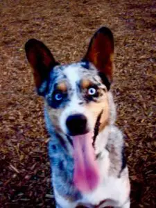 Photo by Joe Nicoletti. All rights reserved