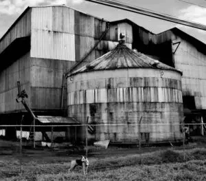 Photo by Joe Nicoletti. All rights reserved