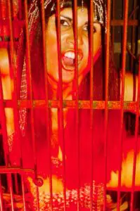 Photo by Joe Nicoletti. All rights reserved