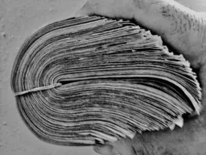 Photo by Joe Nicoletti. All rights reserved