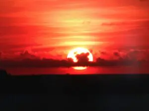 Photo by Joe Nicoletti. All rights reserved