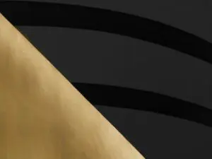 Photo by Joe Nicoletti. All rights reserved