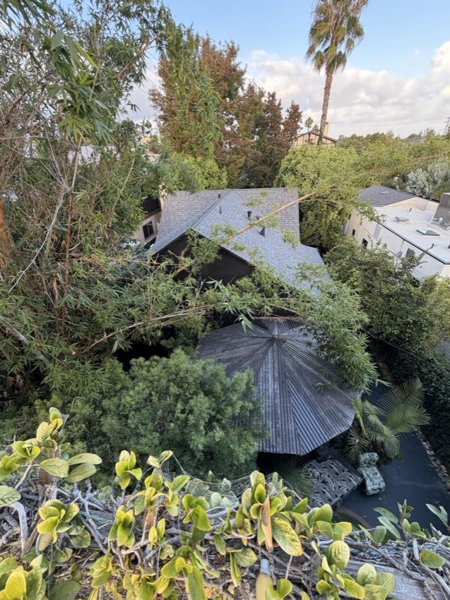 28th Street, Santa Monica